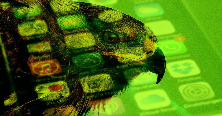 A tracked eagle spent five months in an area without data coverage, racking up enough roaming charges to wipe a research team's entire budget.