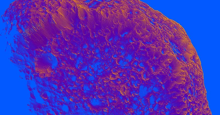 NASA scientists found evidence that ribose, a key sugar in genetic molecules, may have come to earth through the impacts of meteorites.