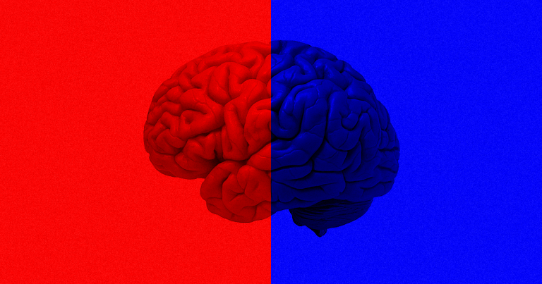 Decades later, people who had half their brain removed as children have stronger neural connections and function than doctors expected.