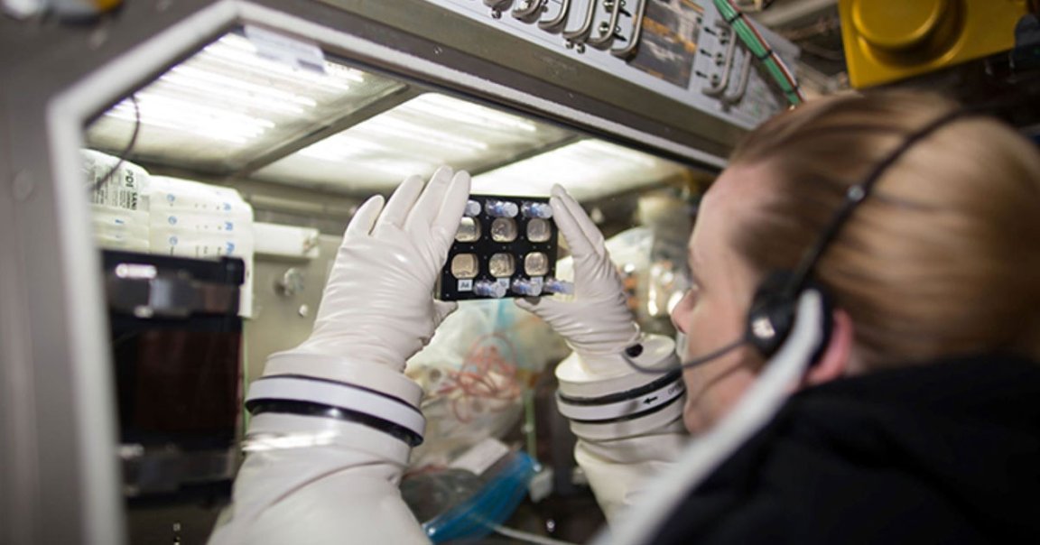 Researchers from the Stanford University School of Medicine found that stem cells-derived heart muscle cells adapted to microgravity really quickly.
