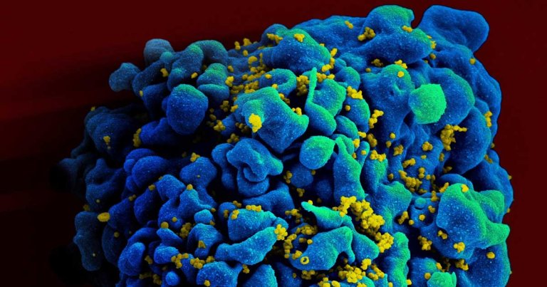 Three charities have launched the world's first sperm bank for HIV-positive donors called Sperm Positive in New Zealand. Three men have already signed up.