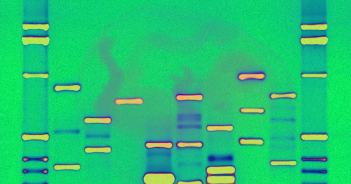 A company called Genomic Prediction offers report cards based on the DNA test of frozen embryos. Experts say it's reminiscent of eugenics.