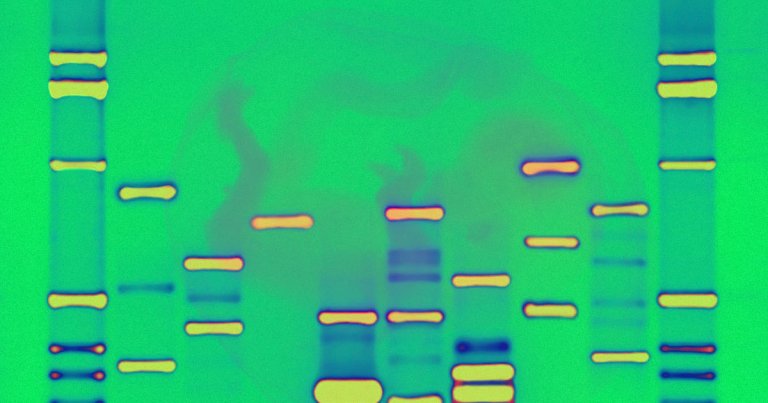A company called Genomic Prediction offers report cards based on the DNA test of frozen embryos. Experts say it's reminiscent of eugenics.
