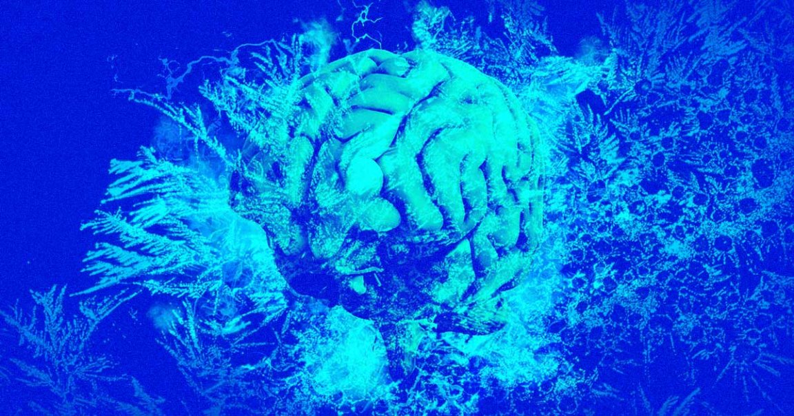 A team of scientists at the University of Maryland School of Medicine placed humans in "suspended animation" for the first time.
