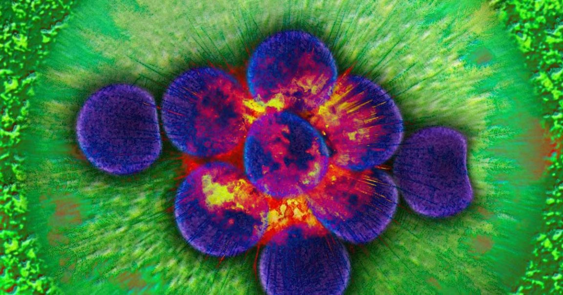 DARPA is funding research into bacteria for bomb detection that could sense explosives below the ground and then glow on its surface.