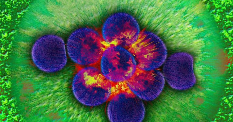 DARPA is funding research into bacteria for bomb detection that could sense explosives below the ground and then glow on its surface.