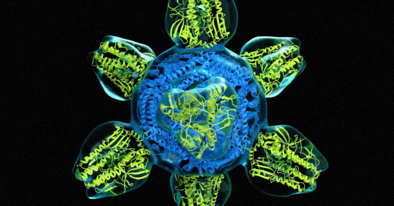 Larry Page, Google co-founder and former CEO, has been quietly funneling millions of dollars into charities that fund flu vaccine research and distribution.