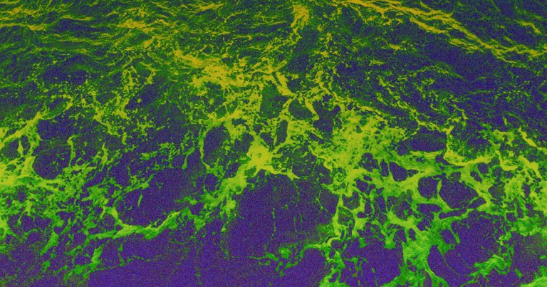 It's becoming increasingly likely that Japan's decision will be to dump the radioactive water stored at the Fukushima power plant into the ocean.