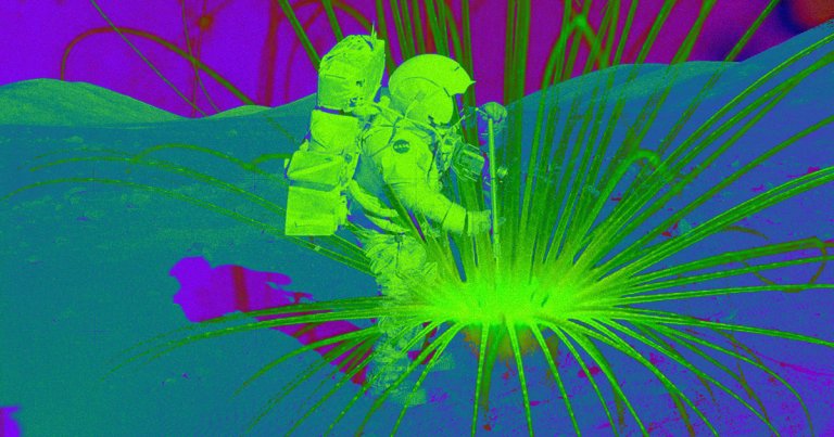 The Moon’s surface could electrocute future astronauts as they plan to visit areas hit by very little charge-negating sunlight.