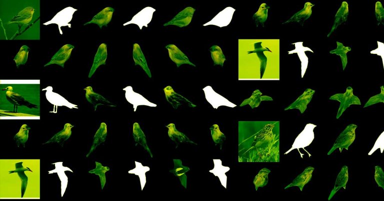NVIDIA has built an AI that can create a detailed 3D model of an object in less than 100 milliseconds from just a single image of it.
