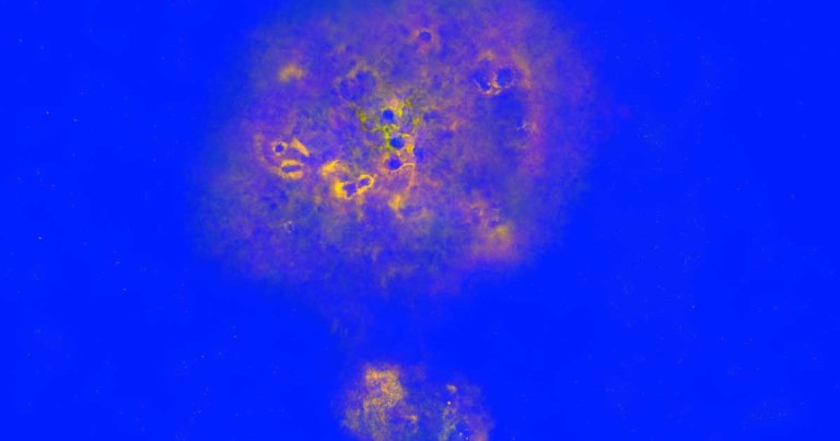Scientists just spotted MAMBO-9. The ancient galaxy's light just reached Earth after a 13 billion year-long journey through space.