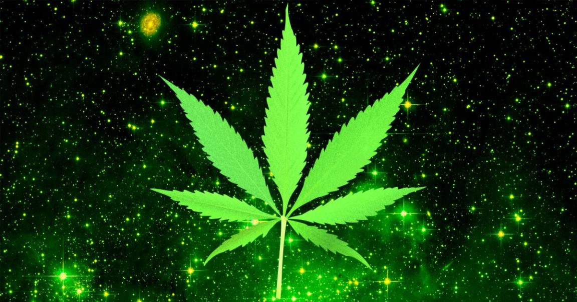 In March 2020, SpaceX will deliver cannabis plant cultures to the International Space Station for agri-tech company Front Range Biosciences.