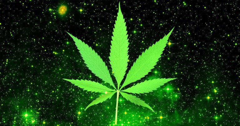 In March 2020, SpaceX will deliver cannabis plant cultures to the International Space Station for agri-tech company Front Range Biosciences.