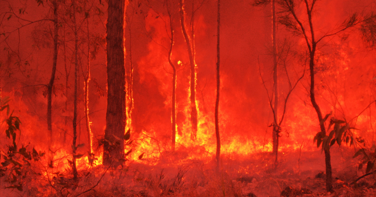 While the massive Australian fires were often treated as a local story, they could have massive, far-reaching effects on the global environment and climate.