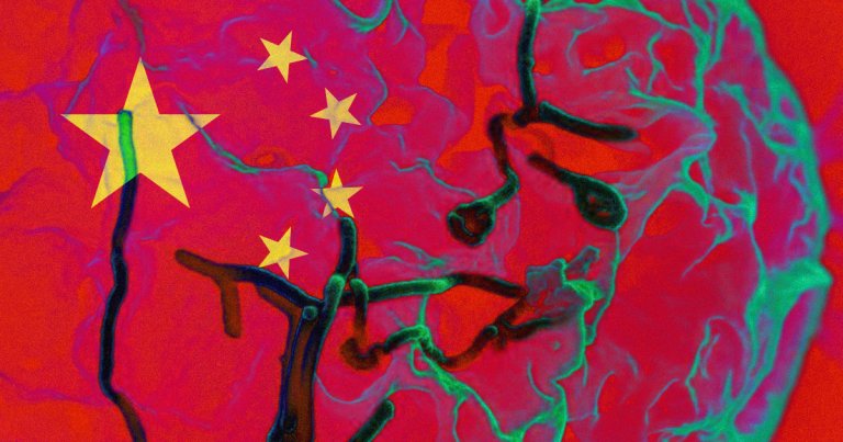In the face of a worsening public health crisis, the Chinese government is censoring social media and articles about the Wuhan virus.