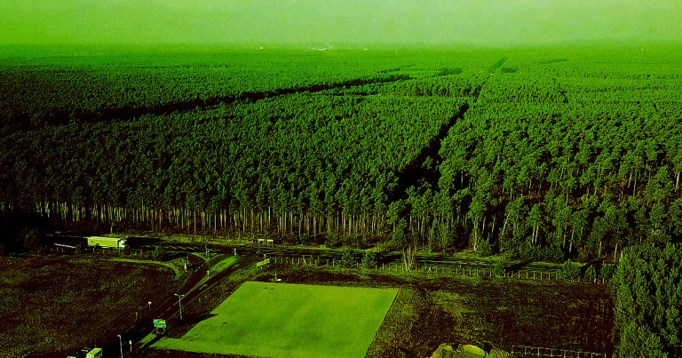 In its efforts to open a massive Gigafactory near Berlin, Germany, Tesla has to clear a lot trees and use up a ton of water — and that has people worried.