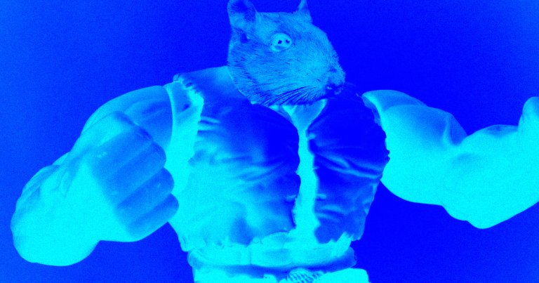 The eight "mighty mice" NASA sent to space have returned to Earth from the ISS, potentially bringing with them insights on humans avoiding muscle loss.
