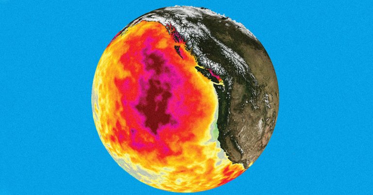 The blob, a patch of warm water in the Pacific Ocean, caused the deaths of an estimated one million seabirds, according to a new study.
