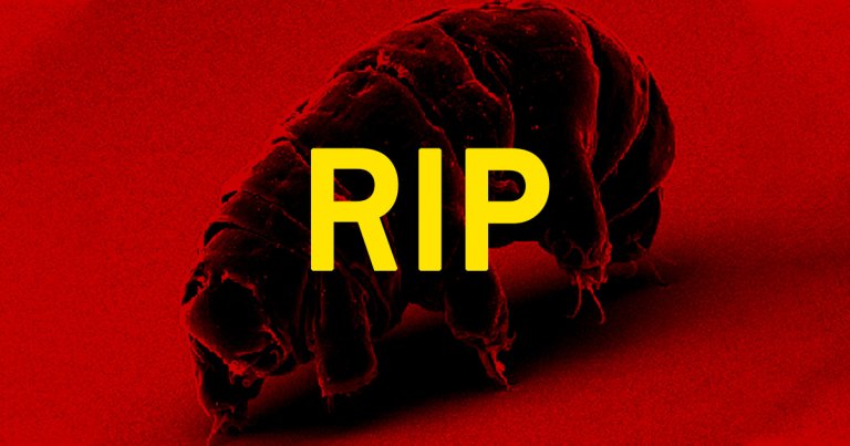 Even tardigrades — one of the most resilient creatures in the known universe — might not be able to survive global warming, according to a new study.
