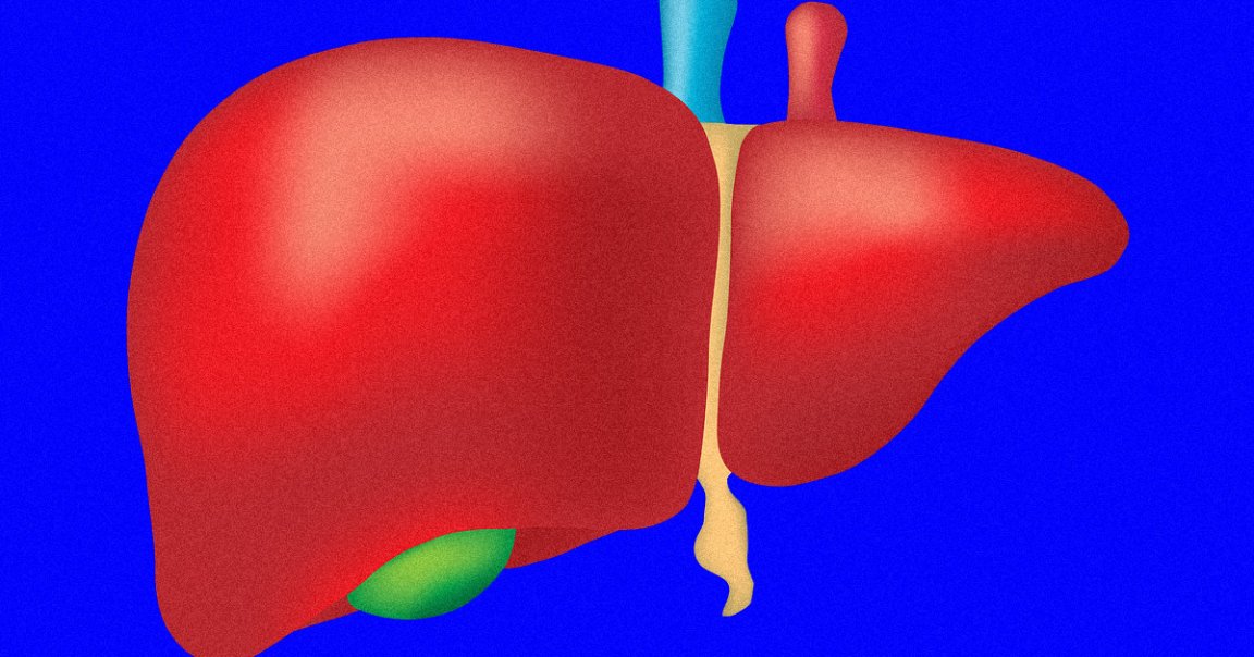 A team of researchers from the University Hospital of Zurich, Switzerland have found a way to keep human livers alive for an entire week outside the body.