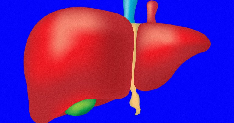 A team of researchers from the University Hospital of Zurich, Switzerland have found a way to keep human livers alive for an entire week outside the body.