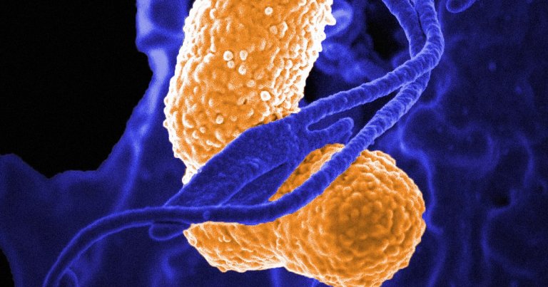 Last month in China, dozens of people in the city of Wuhan fell ill with a new disease, a strain of the pneumonia virus, and officials worry it may spread.