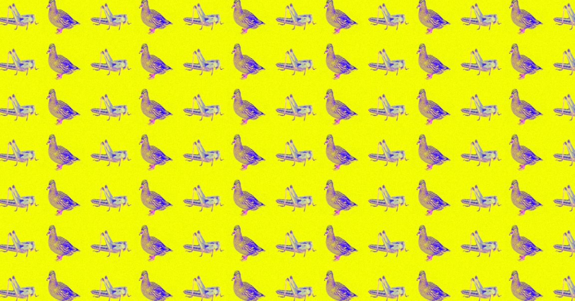 A mysterious video that claimed China would be sending 100,000 ducks to Pakistan to help deal with a locust invasion went viral on Chinese social media.