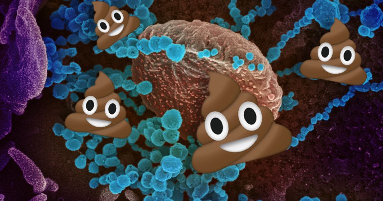 Deadly Coronavirus May Be Spreading Through Poop