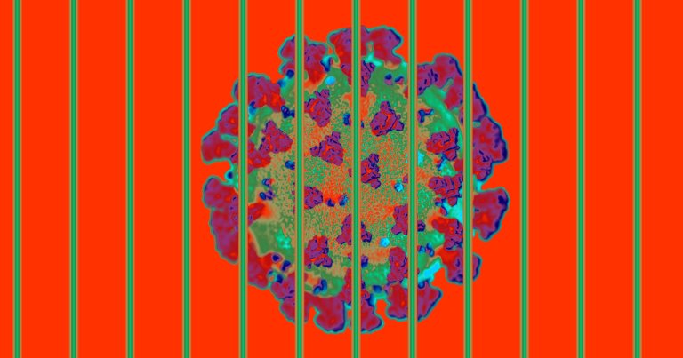 The NYT reports that COVID-19 is tearing through China's prison system — a hint that even in the epidemic's epicenter, we don't understand its toll.