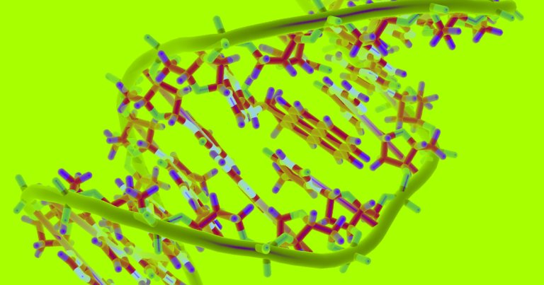 Once again, experts are warning that consumer DNA tests will eradicate people's privacy and make them vulnerable to workplace discrimination.