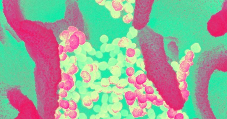The French Health Ministry announced that France no longer has confirmed cases of the coronavirus COVID-19: one patient died but all the others recovered.