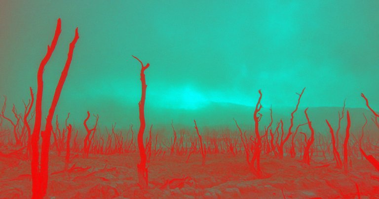 Prominent investment bank JP Morgan Chase has sent a report to clients warning that climate change could have cataclysmic effects on civilization.