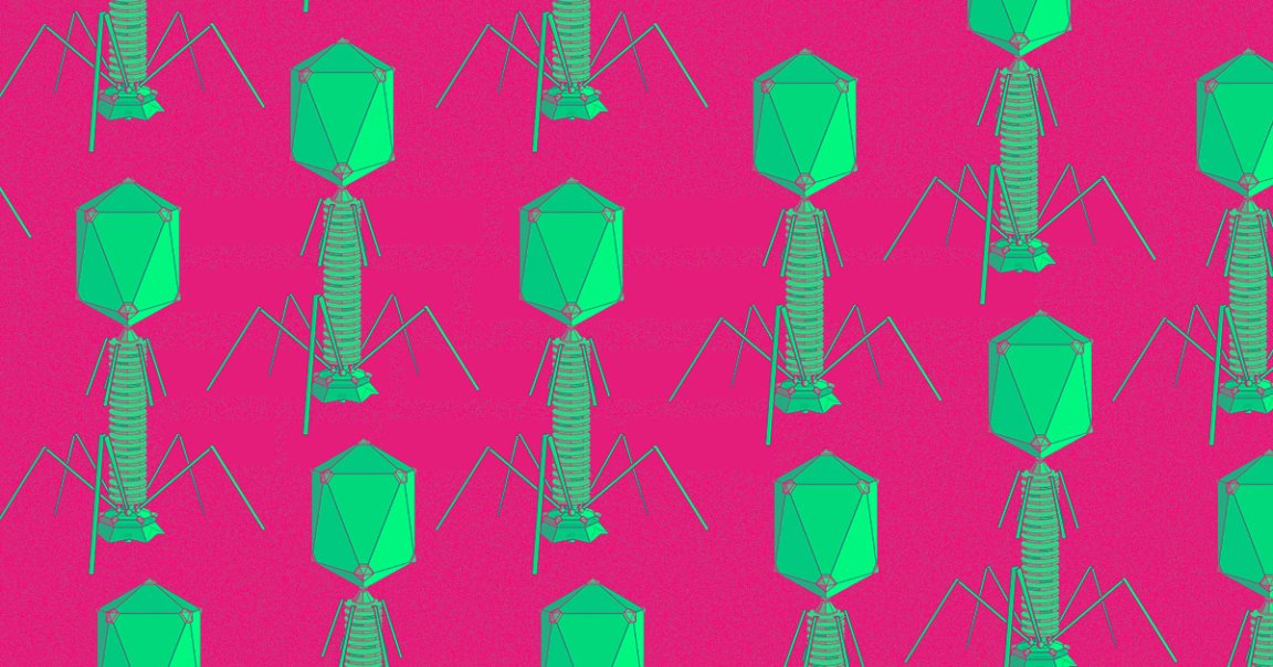 Over the last decade, MIT bionengineering professor Angela Belcher has been conscripting millions of zombie viruses to build battery parts.