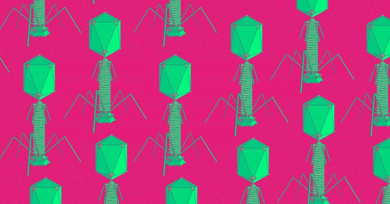 Over the last decade, MIT bionengineering professor Angela Belcher has been conscripting millions of zombie viruses to build battery parts.