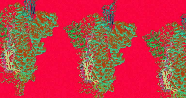 Researchers from University of Texas at Austin have mapped a key protein of the coronavirus that it uses to invade human cells, which could lead to vaccine.