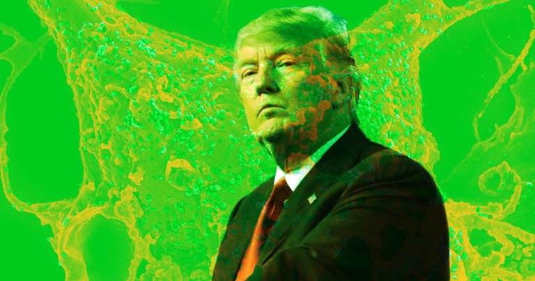 Republican and Democrat lawmakers seem to be in agreement that the Trump administration hasn't put nearly enough effort into a coronavirus response plan.