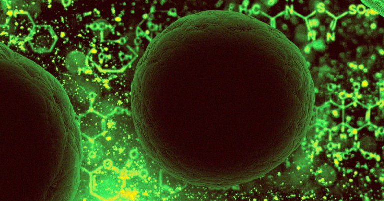 WHO director-general Tedros Adhanom Ghebreyesus warned that the coronavirus outbreak could get worse if countries don't nip it in the bud.