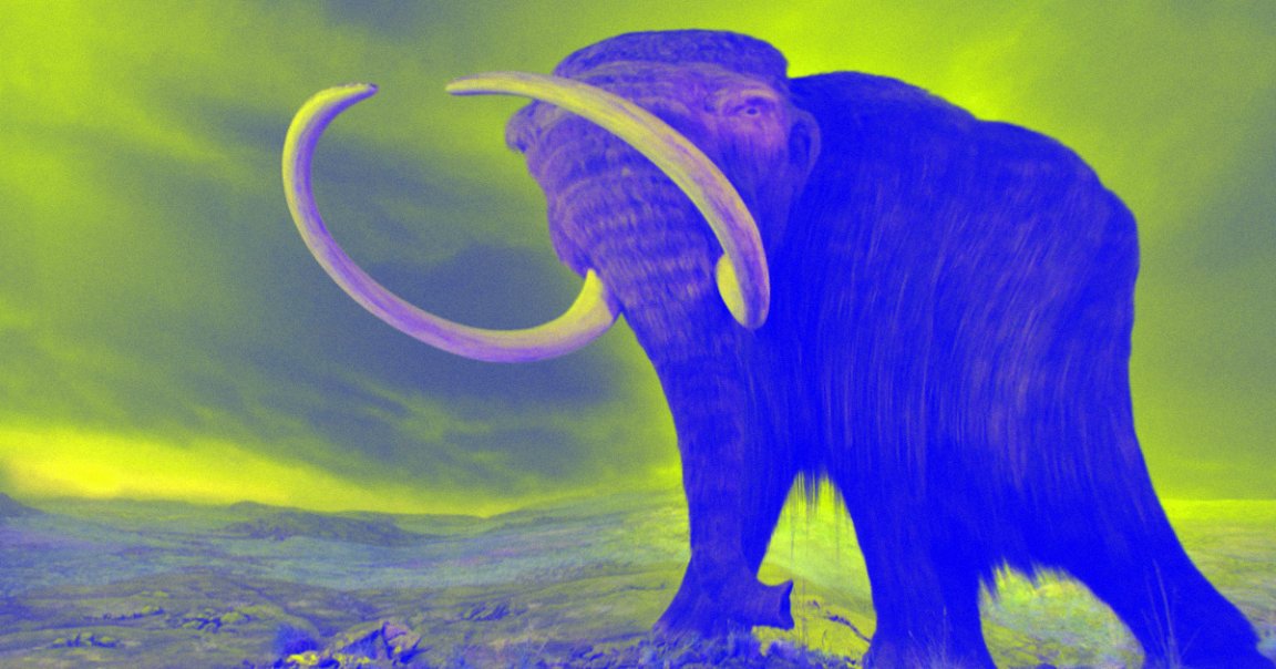 According to a study published earlier this month in journal Genome Biology and Evolution, woolly mammoth genes had many bad mutations from inbreeding.