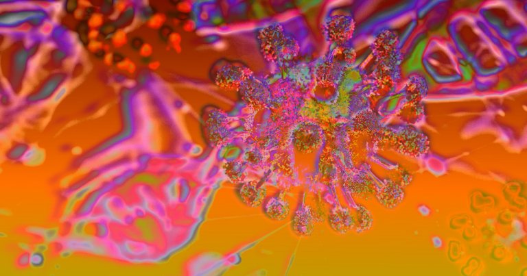 Q&A: James Hamblin, MD on Why You’re Likely to Get the Coronavirus