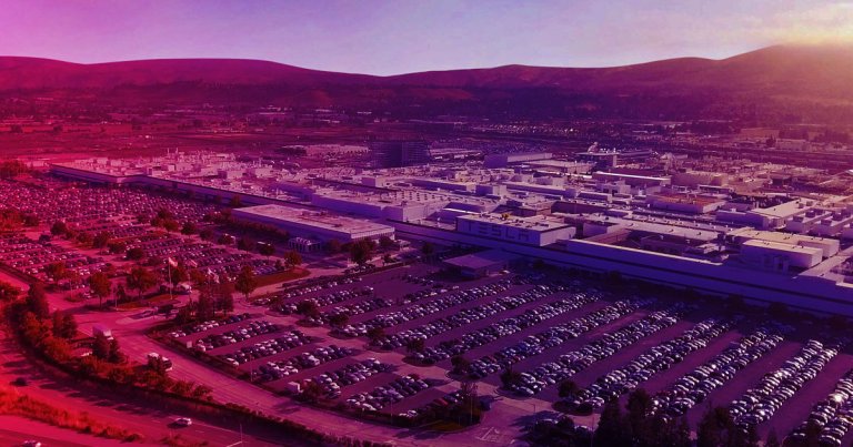 Area cops are telling Elon Musk's electric automaker Tesla that it must shut down operations at its Fremont factory location.