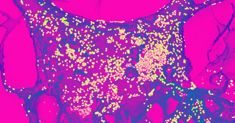 The narrative itself is a work of fiction, but the biological mechanisms and medical risks that it describes are very real.