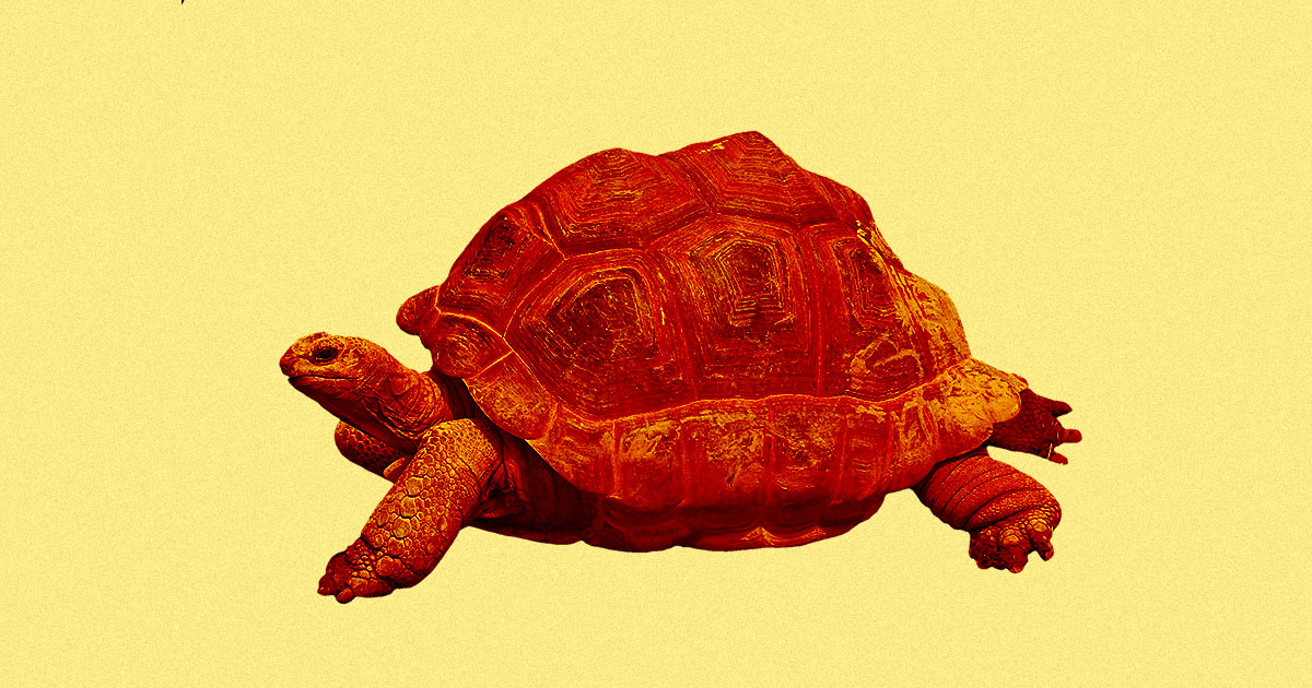 It isn't just you: the internet is actually super-slow lately