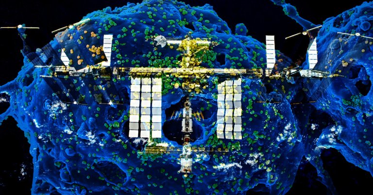 NASA is taking many precautionary measures to ensure that the coronavirus outbreak doesn't have a chance to spread among its employees and astronauts.