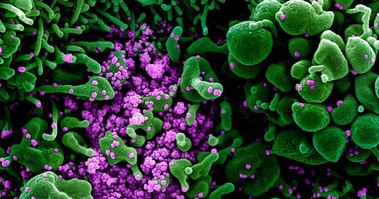 According to the latest CDC report, 38 percent of the 508 known to be hospitalized in the country were between the ages of 20 and 54.