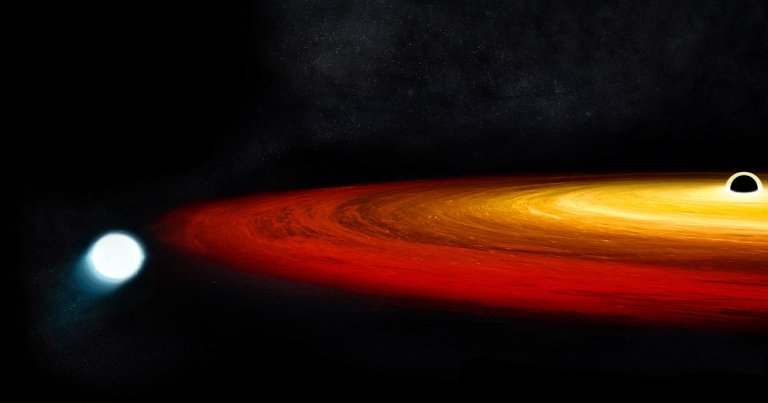 Astronomers found a rare, near-death experience play out in space where a black hole devoured the outer layers of a star but left the core intact.