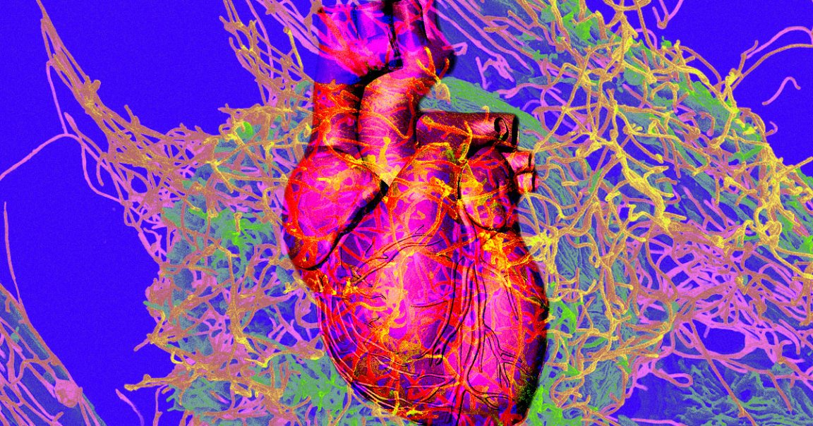 A recent study found that as many as one in five COVID-19 patients experienced cardiac damage, leading to heart failure, and in some instances, death.