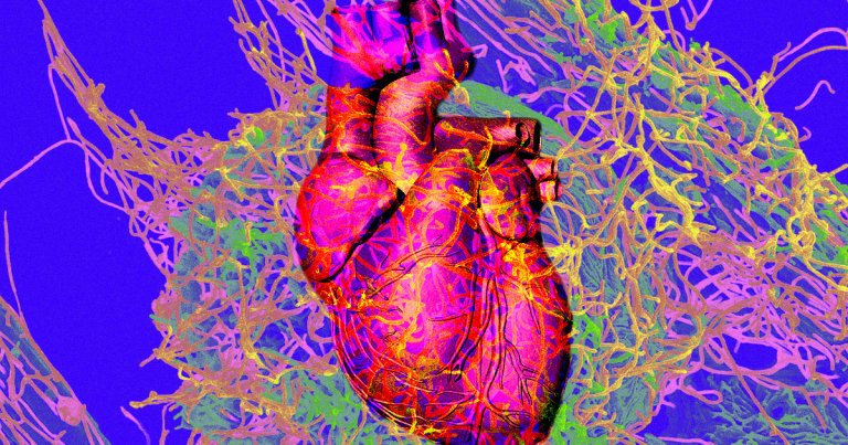 A recent study found that as many as one in five COVID-19 patients experienced cardiac damage, leading to heart failure, and in some instances, death.