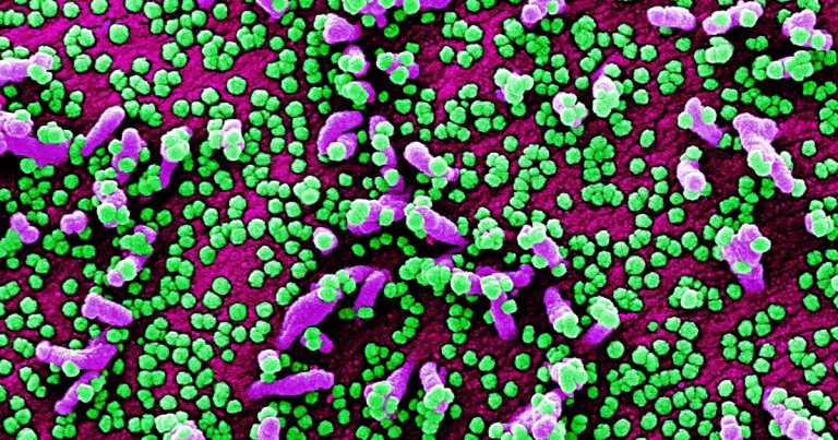 Doctors are noticing mysterious blood clots in COVID-19 patients that are causing extremely low oxygen levels. But there are still countless unknowns.