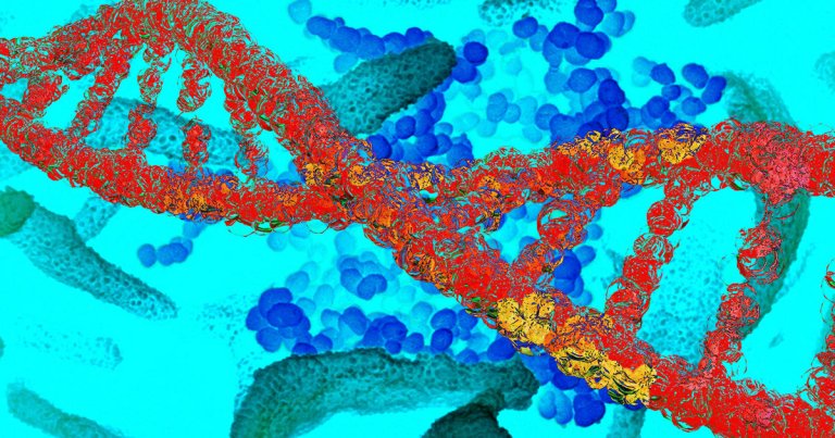 A company developed genetic tests to determine whether someone's more likely to catch COVID-19 and, if they do, whether they'll have a more severe case.