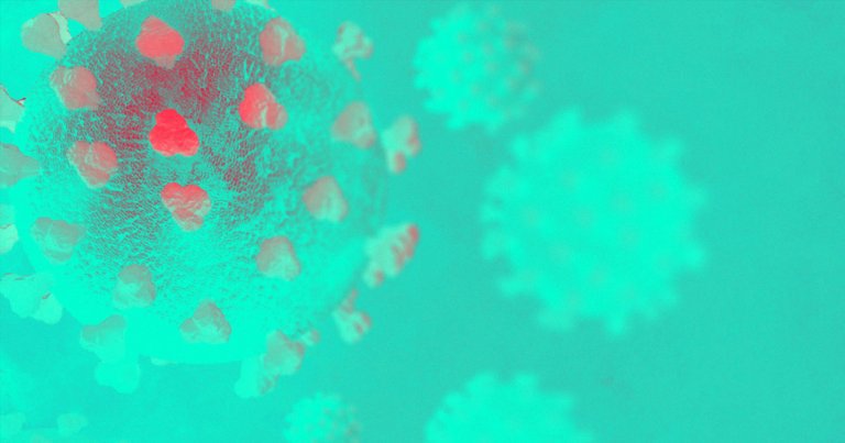 During briefing, WHO director-general Tedros Adhanom said "that a relatively small percentage of the populations may have been infected" by the coronavirus.